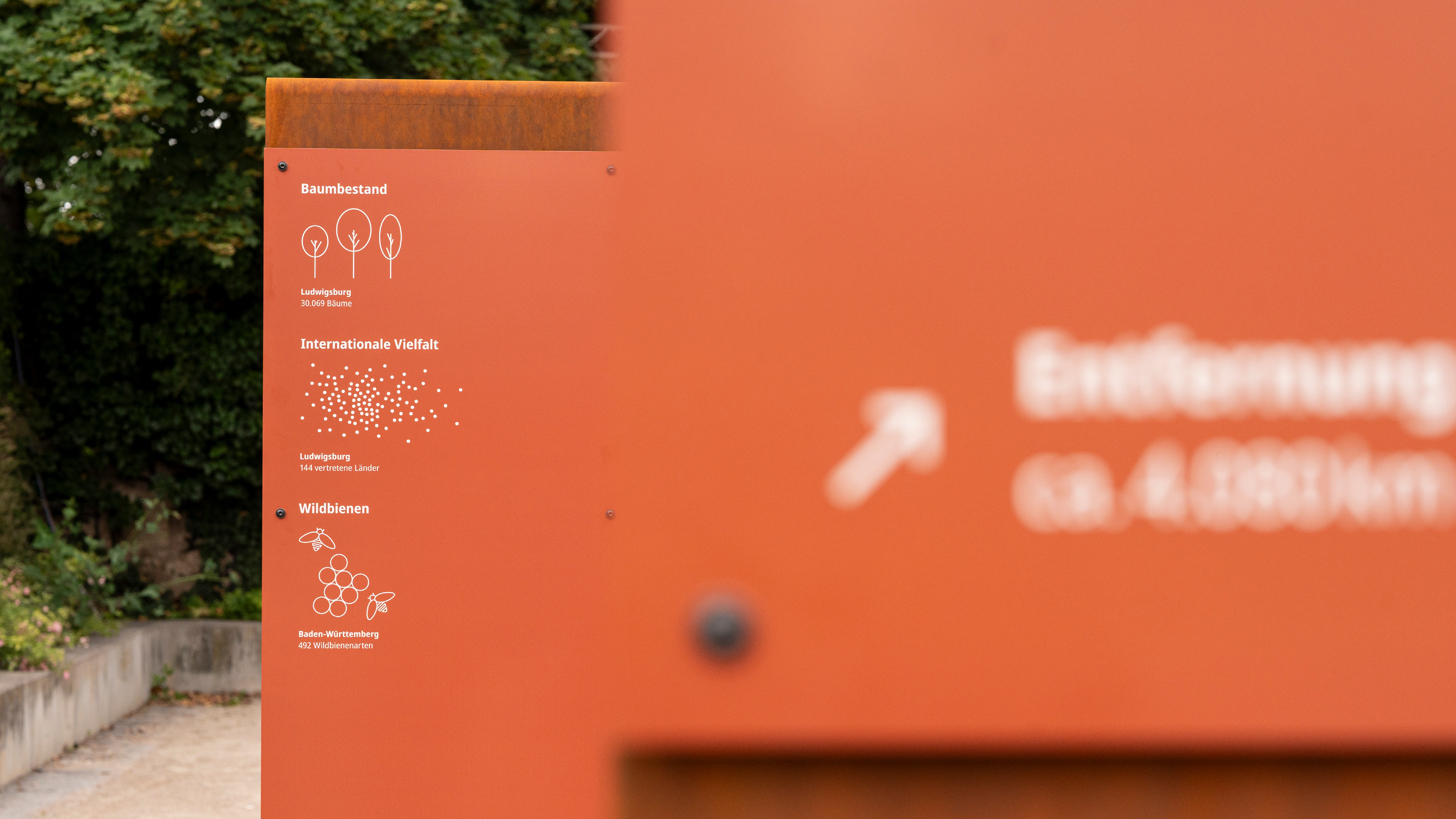 VISUAL Scenography: Installation: Climate Partnership on Town Hall Square: Close-up of an orange graphic panel featuring white infographics on tree populations, international diversity and wild bees; a second exhibition panel is out of focus in the foreground.