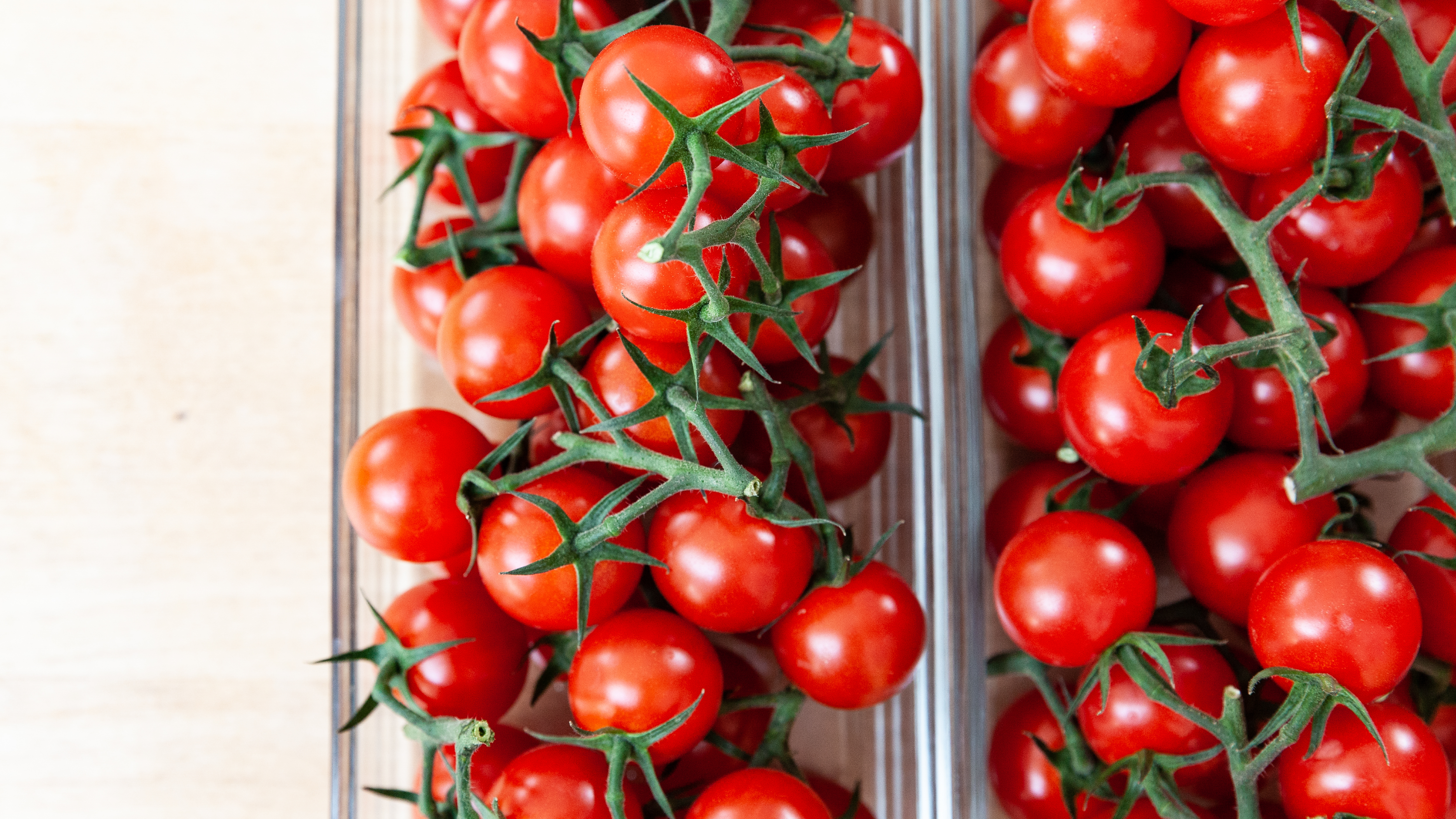 VISUELL Blogbeitrag: Event unterm Dach– das Olivenöl-tasting: Tomaten