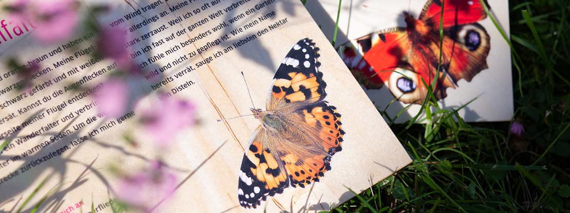 VISUELL Blogbeitrag: Schmetterlingswiese: Zwei Schmetterlinge auf einer Holztafel mit Informationen
