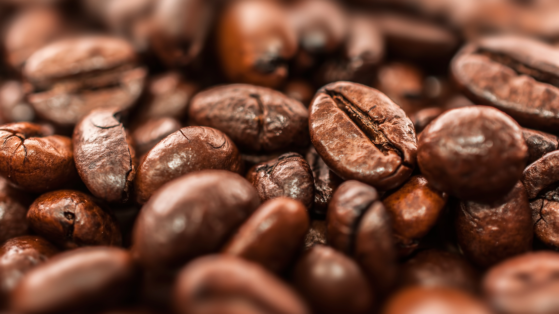 VISUELL Blogbeitrag: Kaffeegenuss: Detailaufnahme von Kaffeebohnen