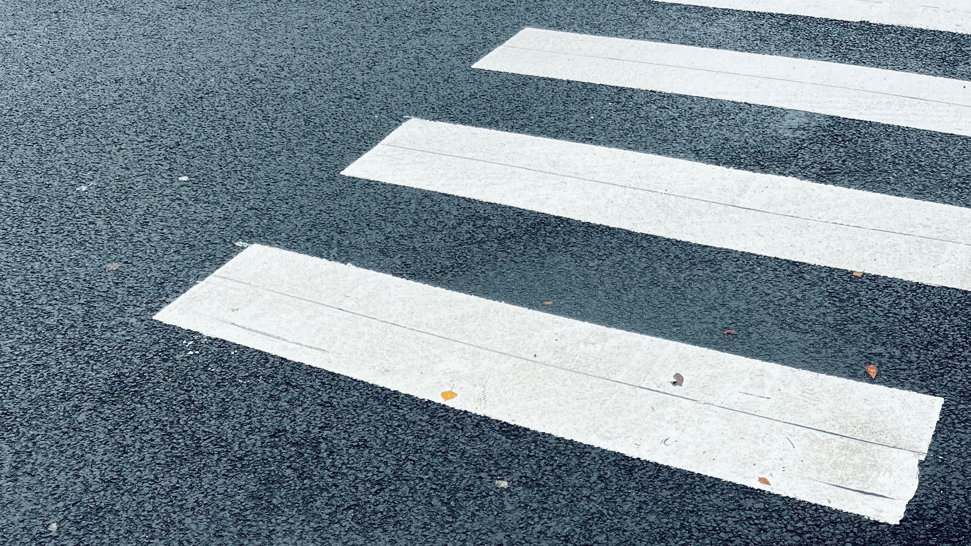 VISUELL Blogbeitrag: Weiterbildung in Oslo: Ein Zebra Streifen