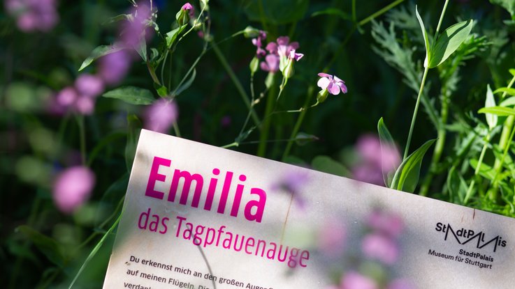VISUELL Blogbeitrag: Schmetterlingswiese am StadtPalais – Museum für Stuttgart VISUELL Blogbeitrag: Schmetterlingswiese: Detailaufnahme Informationstafel mit Neon-pinker Schrift - Aufschrift: Emila, das Tagpfauenauge