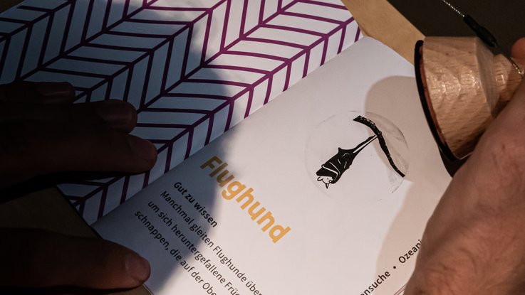 VISUELL Szenografie: Ausstellung „Spurensuche“: Detailaufnahme Stempelheft mit Stempel des Flughundes