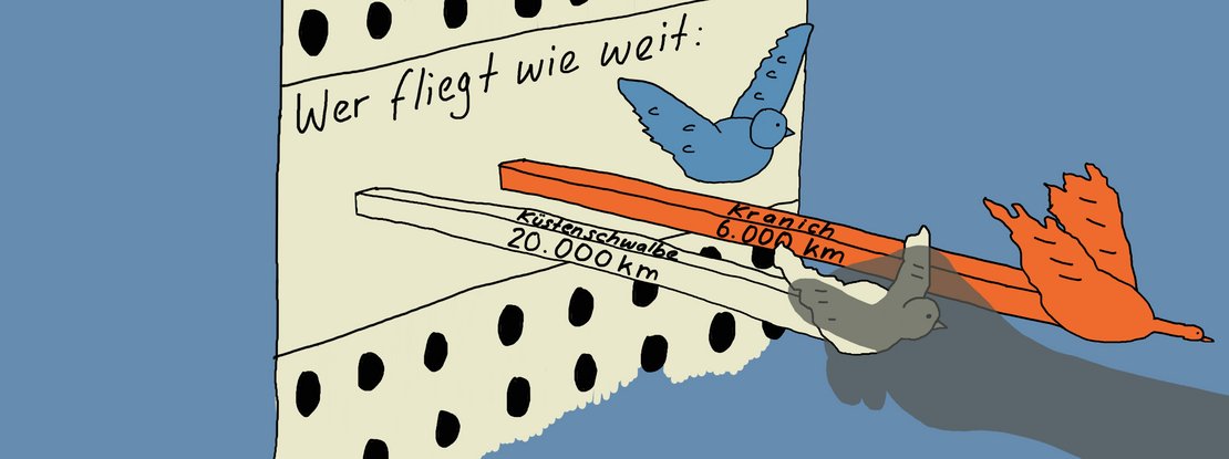 VISUELL Szenografie: Wanderausstellung Vogelzug Kids4Kids: Detailillustration einer mechanischen Hands-on-Station mit integriertem Vogelmotiv; spielerische Vermittlung von Flugweiten verschiedener Vögel