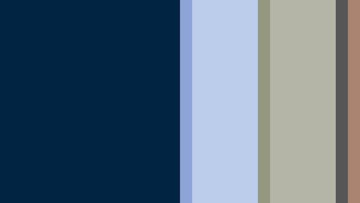VISUELL Kommunikationsdesign: Corporate Design Stauß: Farbpalette des Corporate Designs als vertikale Farbbalken; gezeigt werden Marineblau, Hellblau, Olive, Beige, Dunkelgrau und Rosé als definierte Hausfarben.