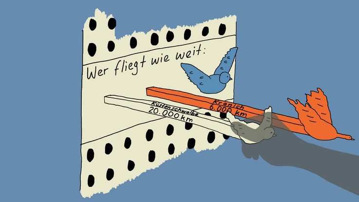 VISUELL Scenography: Kids4Kids migratory bird exhibition: detailed illustration of a mechanical hands-on station featuring a bird motif; an engaging way to learn about the flight ranges of different birds