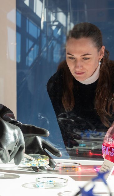 VISUELL Szenografie: Wissenschaftsausstellung: Eine Besucherin betrachtet aufmerksam ein Experiment in der Ausstellung „Was kann Katalyse?“. Sie schaut durch eine Glasvitrine auf eine Petrischale mit bunten Perlen. In der Vitrine sind Handschuhe zu sehen, mit denen eine Person das Experiment durchführt. Ein Informationsschild neben der Petrischale erklärt das Experiment.